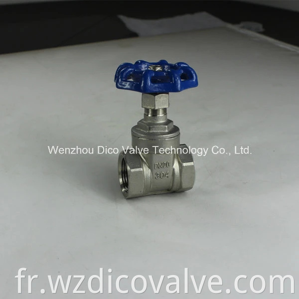 gate valve